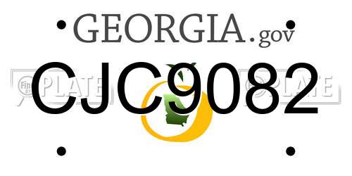 CJC9082 Georgia License Plate