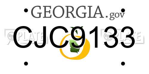 CJC9133 Georgia License Plate