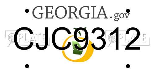 CJC9312 Georgia License Plate