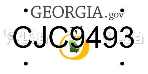 CJC9493 Georgia License Plate