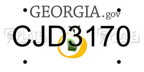 CJD3170 Georgia License Plate