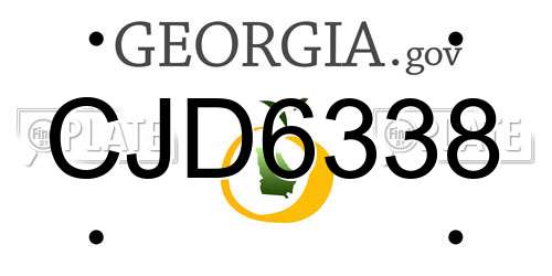 CJD6338 Georgia License Plate