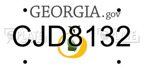 CJD8132 Georgia License Plate