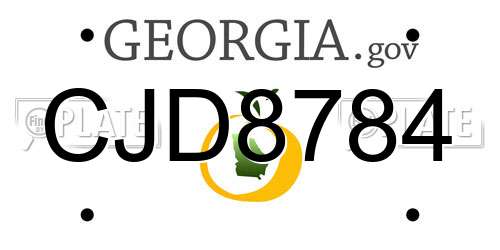 CJD8784 Georgia License Plate