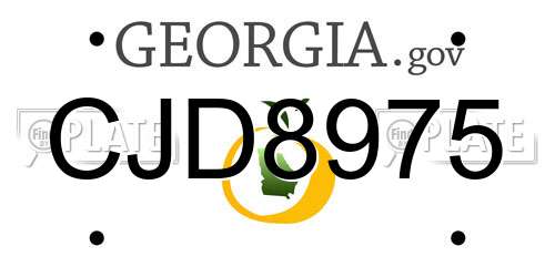 CJD8975 Georgia License Plate