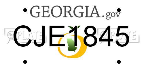 CJE1845 Georgia License Plate
