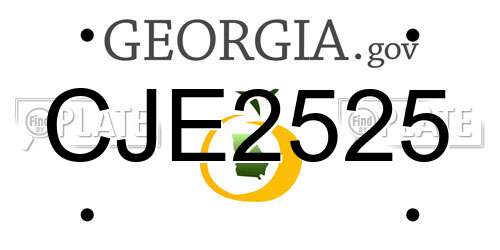 CJE2525 Georgia License Plate
