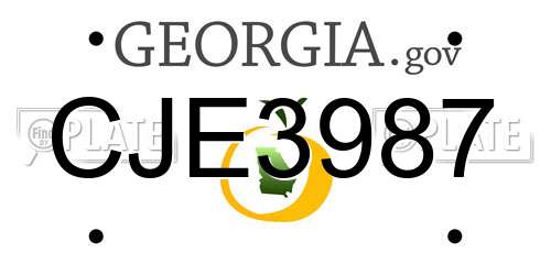 CJE3987 Georgia License Plate