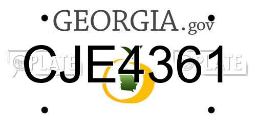 CJE4361 Georgia License Plate
