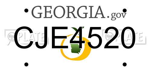 CJE4520 Georgia License Plate
