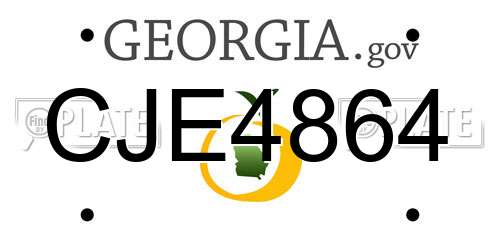 CJE4864 Georgia License Plate