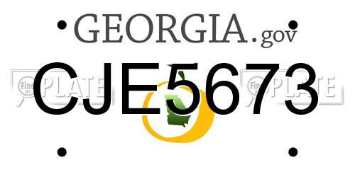 CJE5673 Georgia License Plate