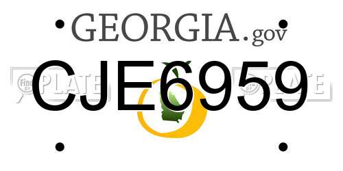 CJE6959 Georgia License Plate