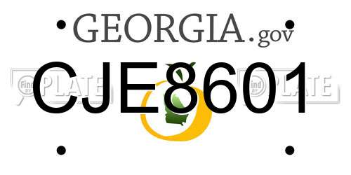 CJE8601 Georgia License Plate