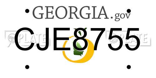 CJE8755 Georgia License Plate