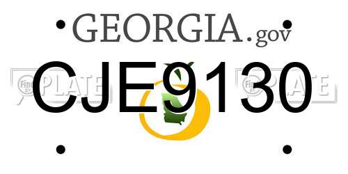 CJE9130 Georgia License Plate