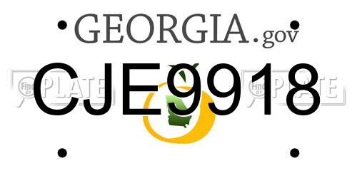 CJE9918 Georgia License Plate