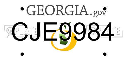 CJE9984 Georgia License Plate