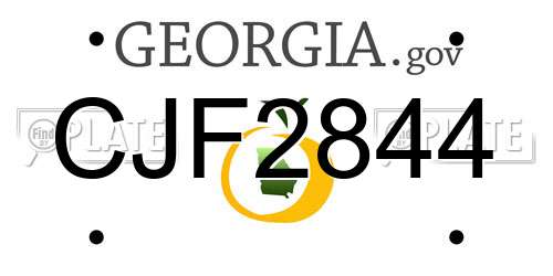 CJF2844 Georgia License Plate