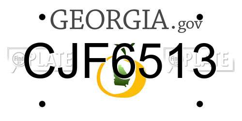 CJF6513 Georgia License Plate