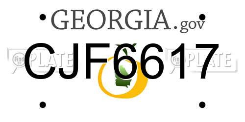 CJF6617 Georgia License Plate