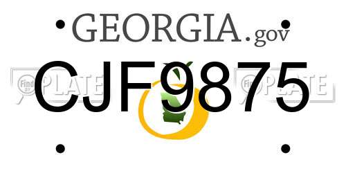 CJF9875 Georgia License Plate