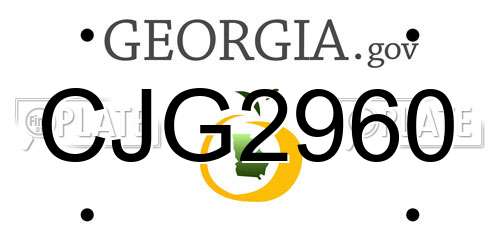 CJG2960 Georgia License Plate