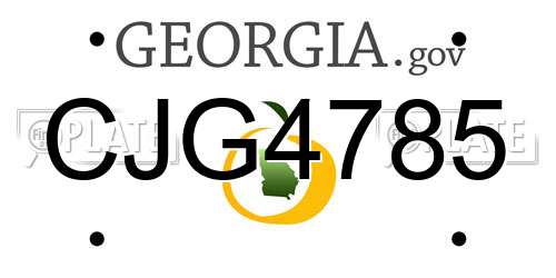 CJG4785 Georgia License Plate
