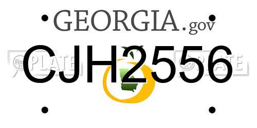 CJH2556 Georgia License Plate