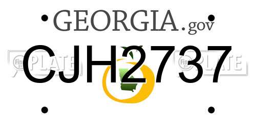 CJH2737 Georgia License Plate