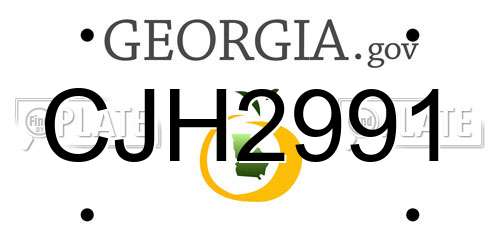 CJH2991 Georgia License Plate
