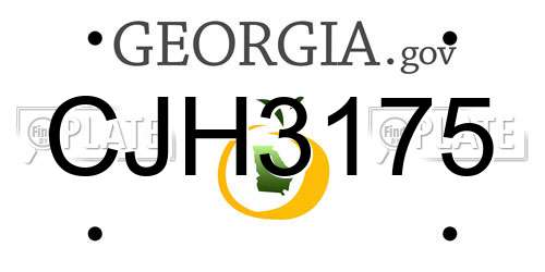CJH3175 Georgia License Plate
