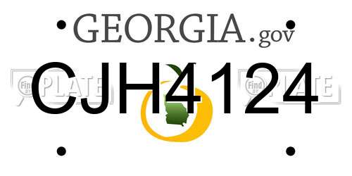 CJH4124 Georgia License Plate