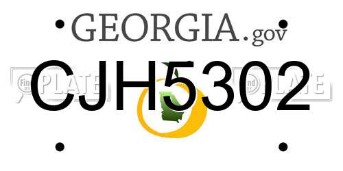 CJH5302 Georgia License Plate