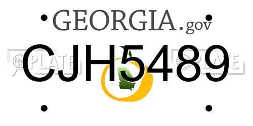 CJH5489 Georgia License Plate