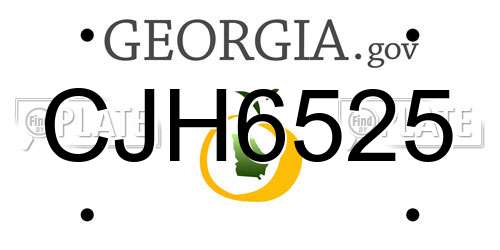 CJH6525 Georgia License Plate