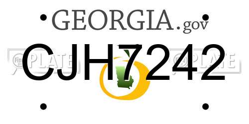 CJH7242 Georgia License Plate