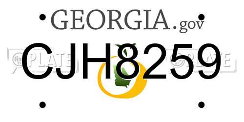 CJH8259 Georgia License Plate
