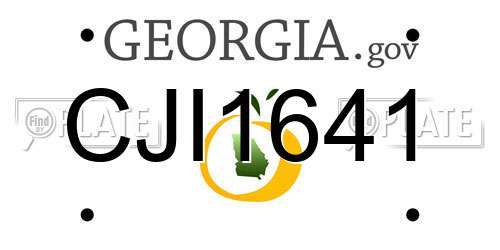 CJI1641 Georgia License Plate