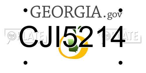 CJI5214 Georgia License Plate
