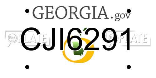 CJI6291 Georgia License Plate