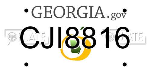 CJI8816 Georgia License Plate
