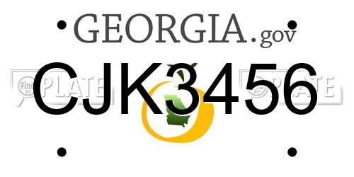 CJK3456 Georgia License Plate
