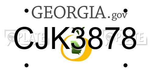 CJK3878 Georgia License Plate