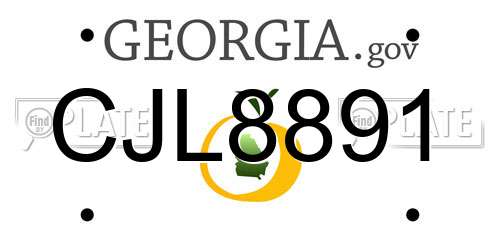 CJL8891 Georgia License Plate