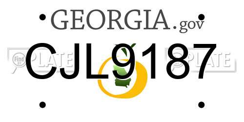 CJL9187 Georgia License Plate