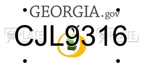 CJL9316 Georgia License Plate