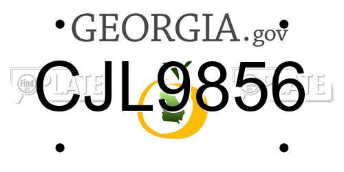 CJL9856 Georgia License Plate