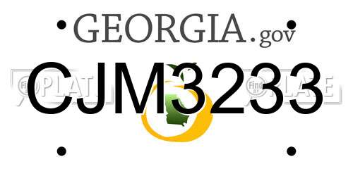 CJM3233 Georgia License Plate