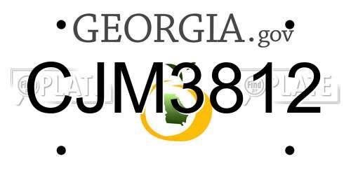 CJM3812 Georgia License Plate